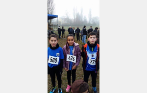 Cross de louvres