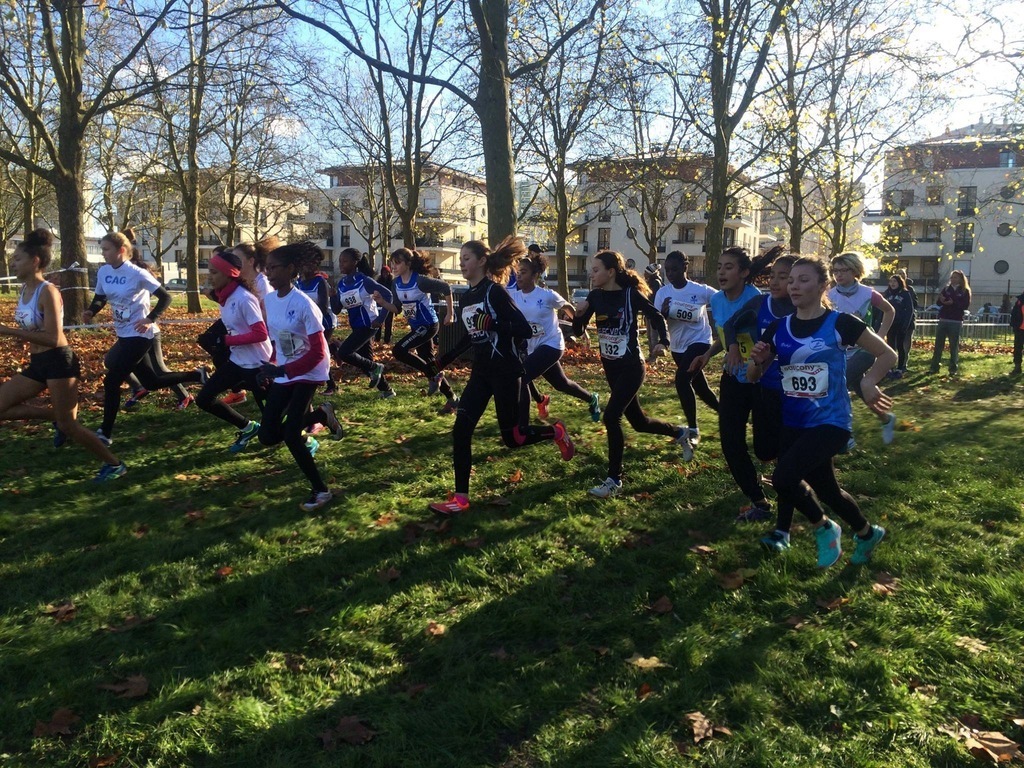 cross de saint brice