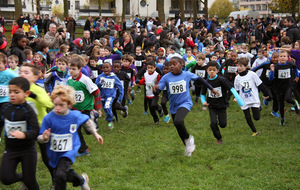 Cross des cerisiers