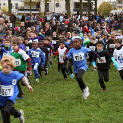 cross des cerisiers